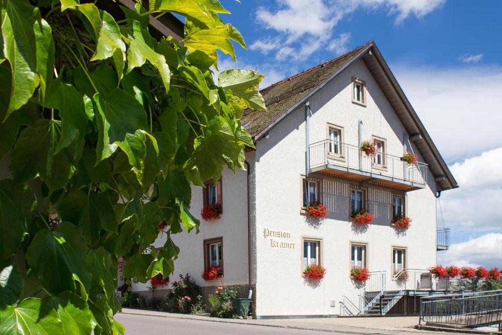 Pension Kramer Grafenhausen Exterior photo